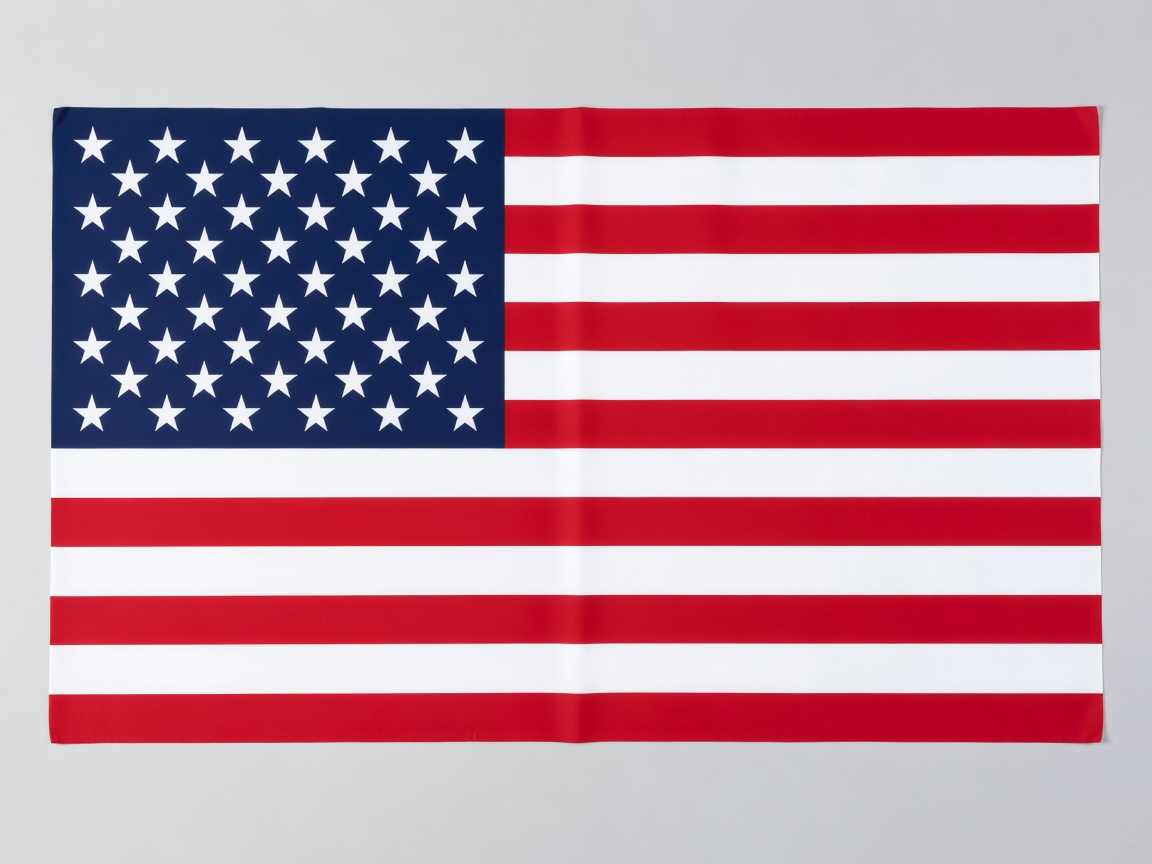 Clean flat national flag of USA